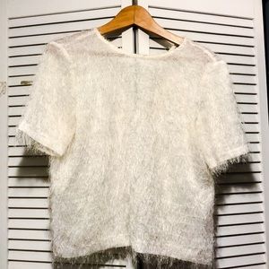 Zara Sheer Cream Fuzzy Short Sleeve Top